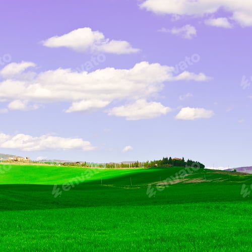 Preview: Green Sloping Meadows Of Tuscany