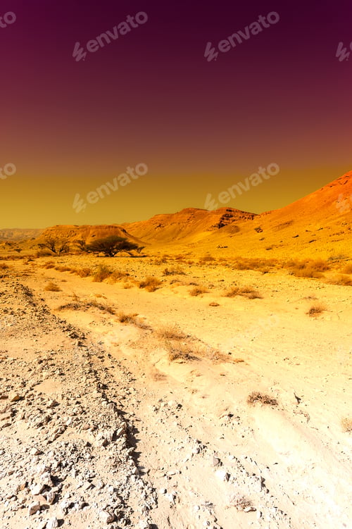 Preview: Colorful Rocky Hills Of The Negev Desert In Israel. Breathtaking Landscape And Nature Of The Middle