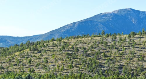 Preview: Alpine Landscape Of Alpes-De-Haute-Provence Department In Southeastern France. Neighborhoods Of A