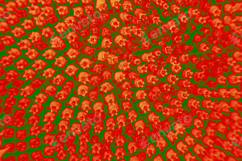 Preview: Abstract And Funky Background Done In Macro Mode