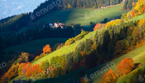 Preview: Hills. Light And Shadow. Autumn Morning Mountain Village Environs With Grassy Hills, Small Groves
