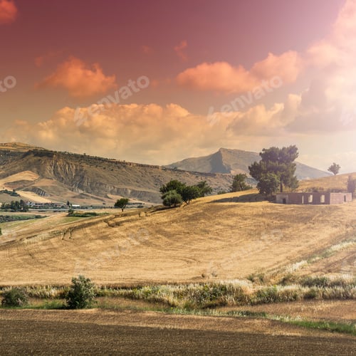 Preview: Wheat Fields In Sicily After Harvesting. Sicilian Landscape At Sunrise, Hills, Flowers, Pasture And