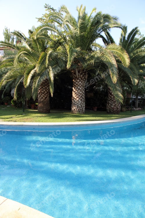 Preview: Swimming Pool In A Residential Houses In Godella Valencia Spain