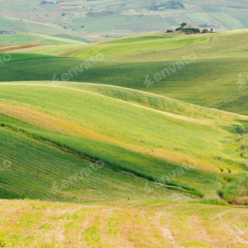 Preview: Stubble Fields On The Hills Of Sicily