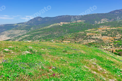 Preview: Golan Heights In The Spring