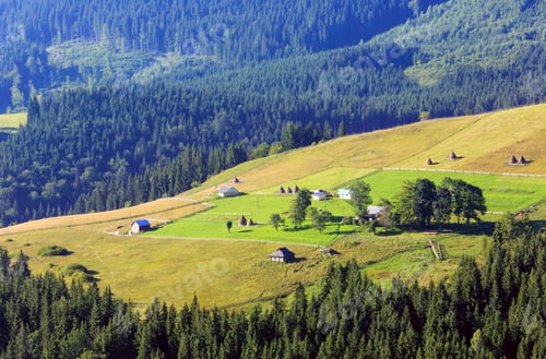 Preview: Mountain Village. Summer Country Landscape With Fir Forest On Slope (Carpathian, Ukraine
