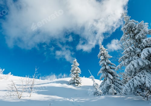 Preview: Winter Calm Mountain Landscape With Beautiful Frosting Trees And Footpath Track Thrue Snowdrifts On