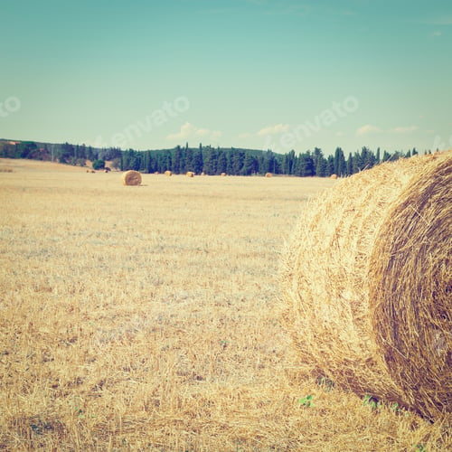 Preview: Tuscany Landscape With Many Hay Bales In Italy, Instagram Effect