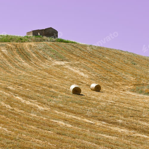 Preview: Landscape Of Sicily With Many Hay Bales At Sunset