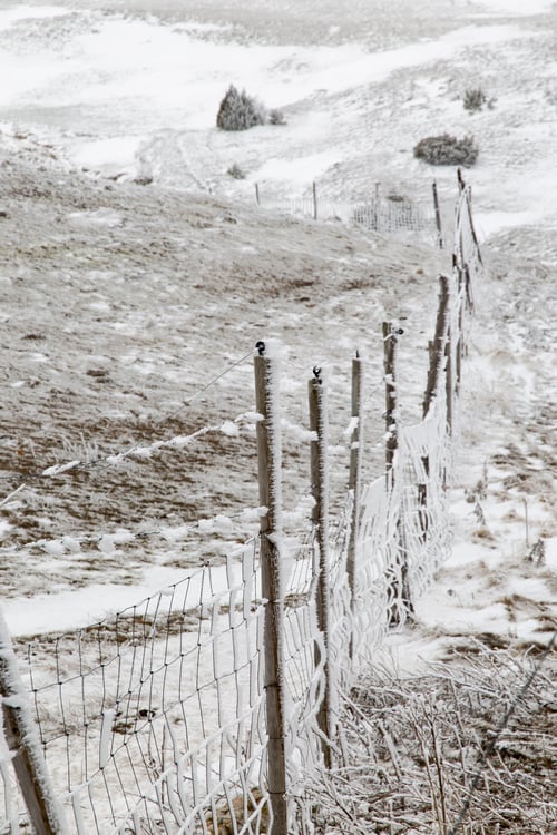 Preview: Frozen Landscape Valdelinares Mountains In Winter Teruel Aragon Spain