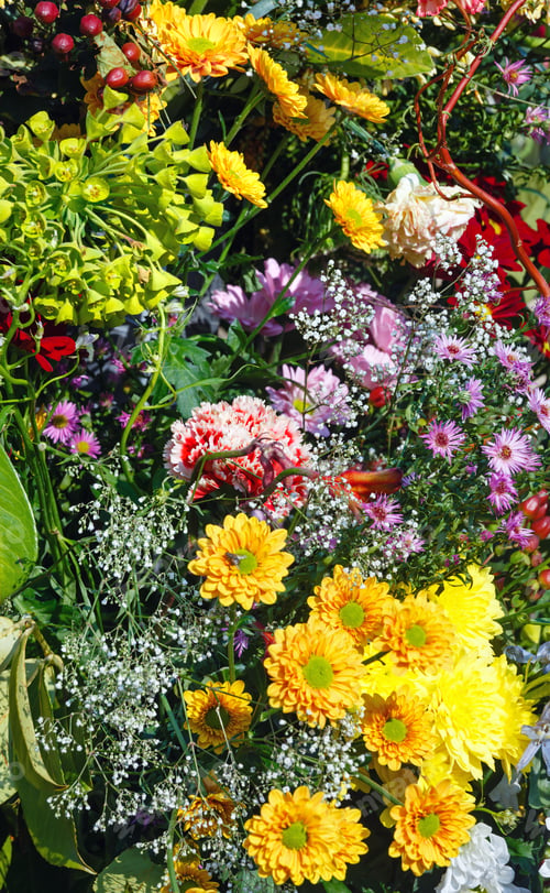 Preview: Big Multicolor Wonderful Flowers Bouquet On Spring Park