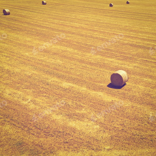 Preview: Landscape With Many Hay Bales, Instagram Effect