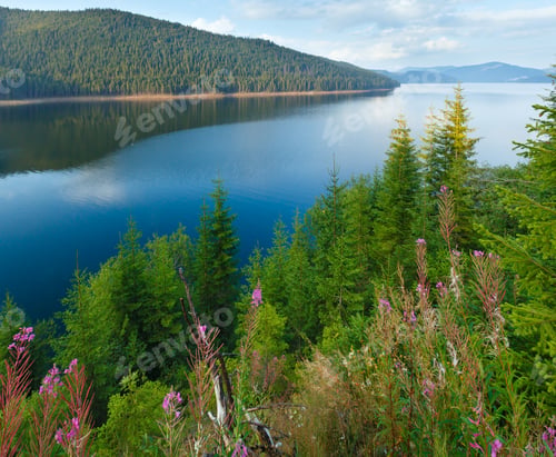 Preview: Mountain Lake Vidra Summer Evening View (Near Romania Transalpina Road)