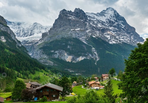 Preview: Summer Alps Mountain Landscape With Fir Forest On Slope And Snow Covered Rocky Tops In Far