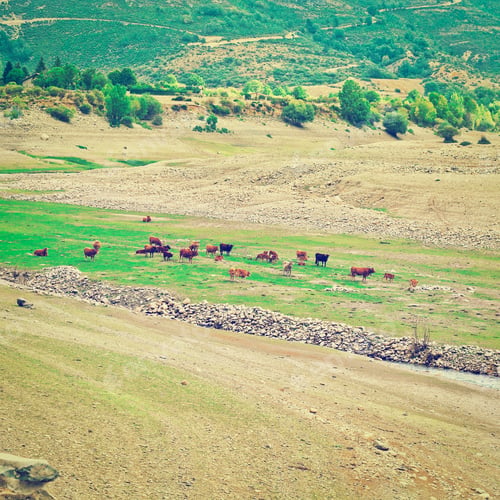 Preview: Pasture On The Bottom Of Canyon In The Cantabrian Mountains, Instagram Effect
