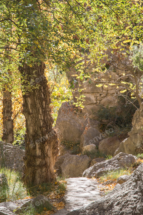 Preview: Autumn In Olba Gudar Mountains Teruel Aragon Spain