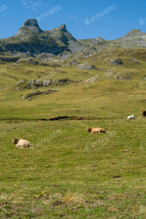 Preview: Ossau Valley National Park Of The Pyrenees France