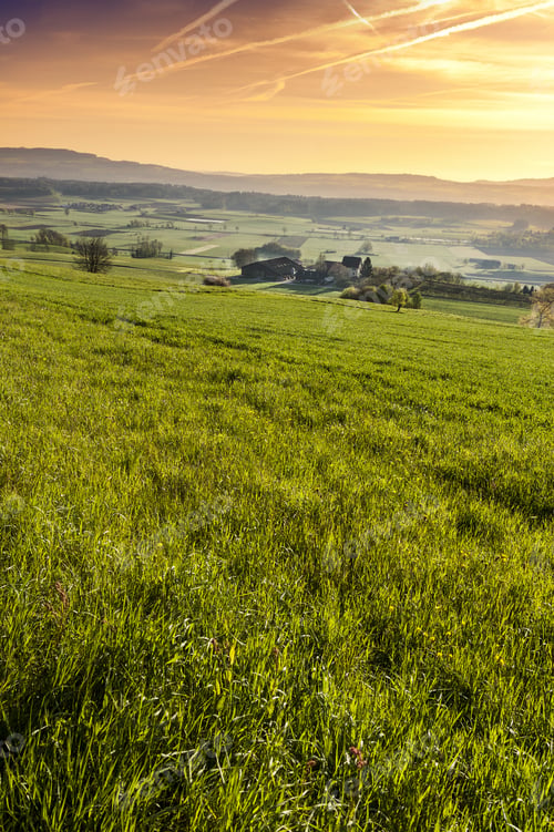 Preview: Pasture On The Background Of Alps In Switzerland At Sunrise. Swiss Small Village At The Foot Of