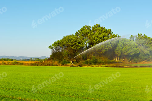 Preview: Sprinkler Irrigation On A Field In Portugal