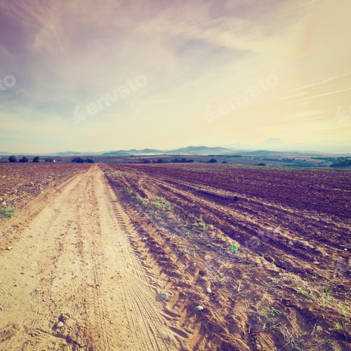 Preview: Cotton Field After Harvest At Sunset In Spain, Instagram Effect