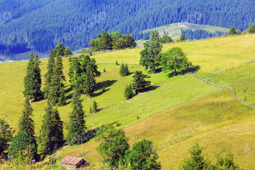 Preview: Summer Mountain Country Landscape With Wooden Fence And Shed (Carpathian, Ukraine, Verkhovyna