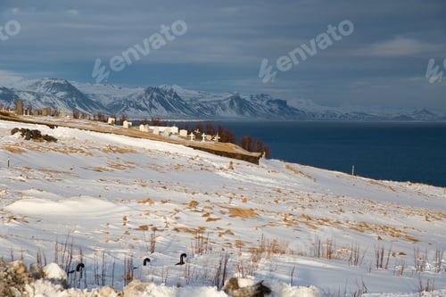 Preview: Hellnar Village Snaefellsnes Peninsule West Of Iceland In Winter