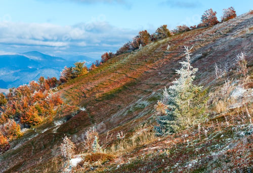 Preview: October Carpathian Mountain Borghava Plateau With First Winter Snow And Autumn Colorful Bilberry