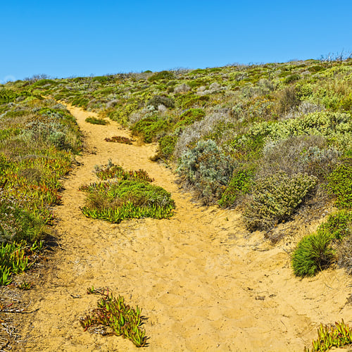 Preview: Road Between The Sand Dunes In Portugal