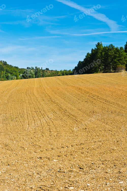 Preview: Trace Of The Plane In The Sky Over Plowed Sloping Hills