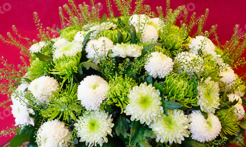 Preview: White - Green Chrysanthemum Summer Flowers Bouquet On Red