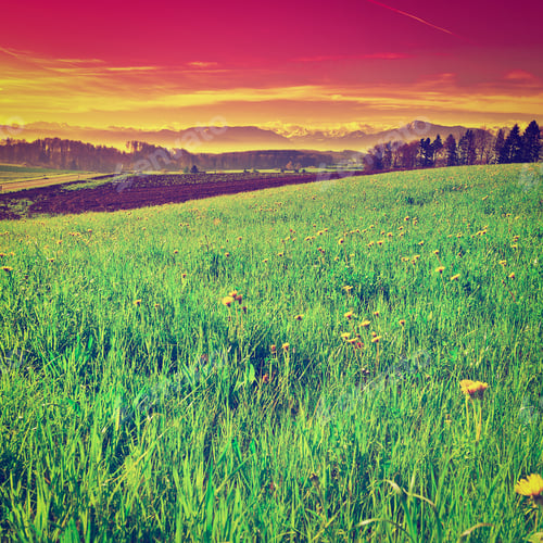 Preview: Pasture On The Background Of Snow-Capped Alps In Switzerland At Sunset, Instagram Effect