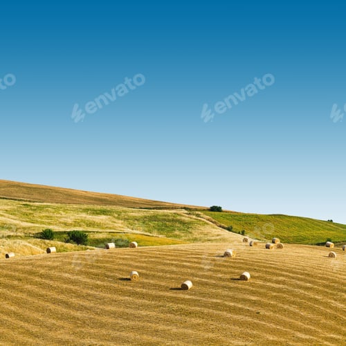 Preview: Landscape Of Sicily With Many Hay Bales
