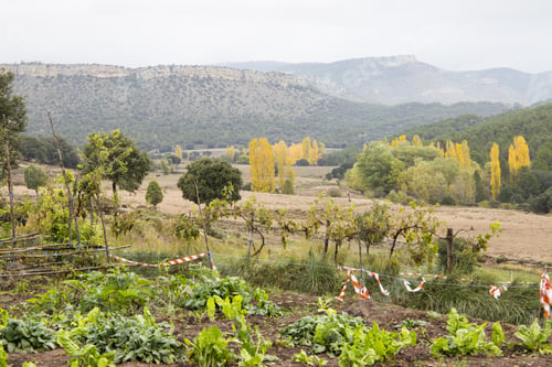 Preview: Autumn Landscape With Yellow Leaves Gudar Mountains Teruel Aragon Spain