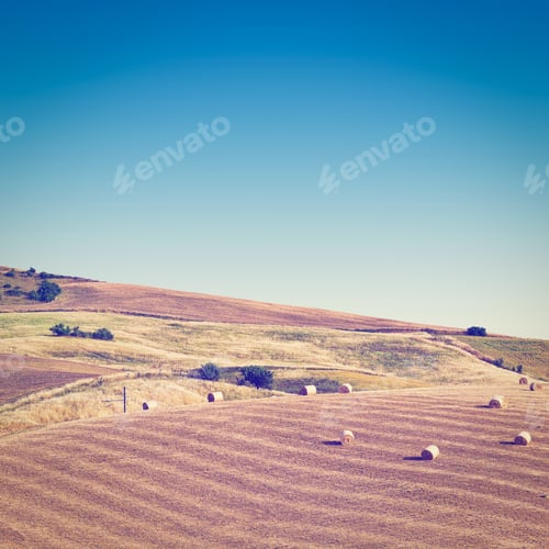 Preview: Landscape Of Sicily With Many Hay Bales, Instagram Effect