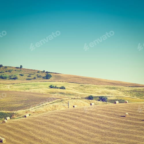 Preview: Landscape Of Sicily With Many Hay Bales, Retro Image Filtered Style