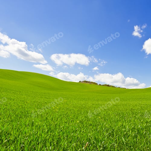 Preview: Green Sloping Meadows Of Tuscany