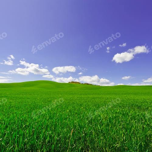 Preview: Green Sloping Meadows Of Tuscany