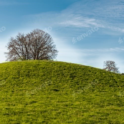 Preview: Swiss Landscape With Forests And Meadow Early In The Morning. Agriculture In Switzerland, Fields