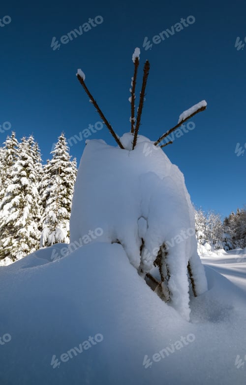Preview: Alpine Mountain Snowy Winter Fir Forest With Snowdrifts