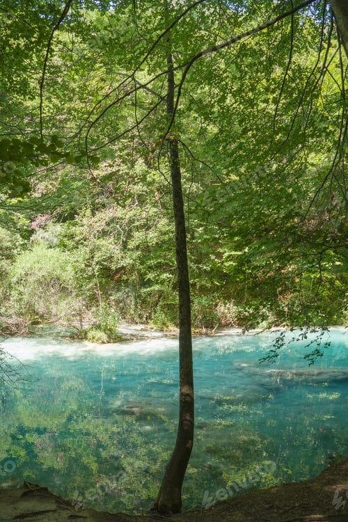 Preview: Source Of The River Urederra In Urbasa Mountain Range, Navarra, Spain