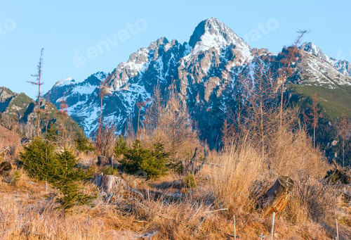 Preview: Snow On Rocky Mountain Slope And Small Fir Trees On Hill In Front.