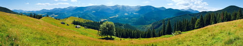 Preview: Summer Mountain Panorama (Carpathian, Ukraine) With Flowering Grassland In Front