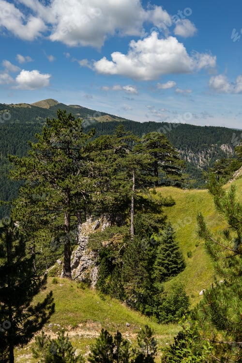 Preview: Picturesque Summer Mountain Landscape Of Tara Canyon In Mountain Durmitor National Park