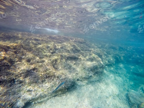 Preview: Underwater Image Alcalfar Village Minorca Balearics Spain