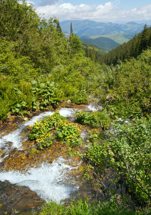 Preview: Summer Mountain River