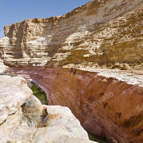 Preview: Canyon En Avedat Of The Negev Desert In Israel