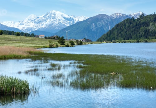 Preview: Summer Reschensee View With Blossoming Dandelion Alpine Meadow (Italy)