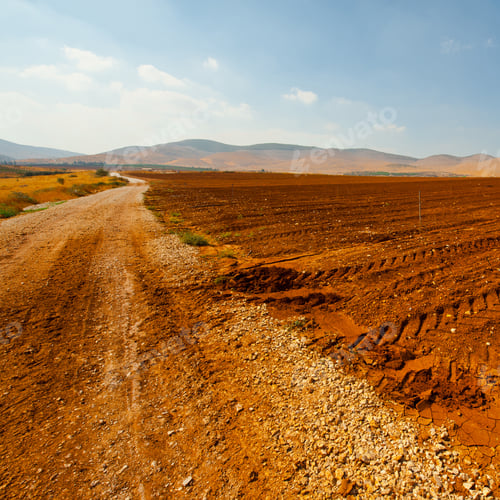 Preview: Dirt Road Between Plowed Fields In Israel, Spring, Instagram Effect