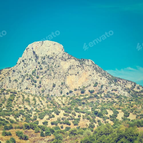 Preview: Olive Grove In The Cantabrian Mountain, Spain, Instagram Effect