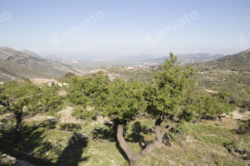 Preview: Looking Down In The Laguart Valley Alicante Spain